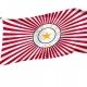 Charles Carroll Indiana State Flag Proposal for Indoor & Outdoor Use - Imagine 1