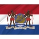 Dutch Colony of Suriname 19th Century Flag for Indoor & Outdoor Use - Imagine 2