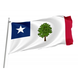 Mississippi 1861-1865 Flag for Indoor & Outdoor Use