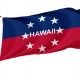 Governor of Hawaii since 1959 Flag for Indoor & Outdoor Use - Imagine 1