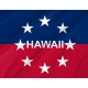 Governor of Hawaii since 1959 Flag for Indoor & Outdoor Use - Imagine 2