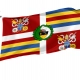 Guardia Vatica JP II, Swiss Guard Flag for Indoor & Outdoor Use - Imagine 1