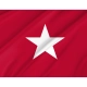 Jane Long Texas Republic 1819 Red Flag for Indoor & Outdoor Use - Imagine 2