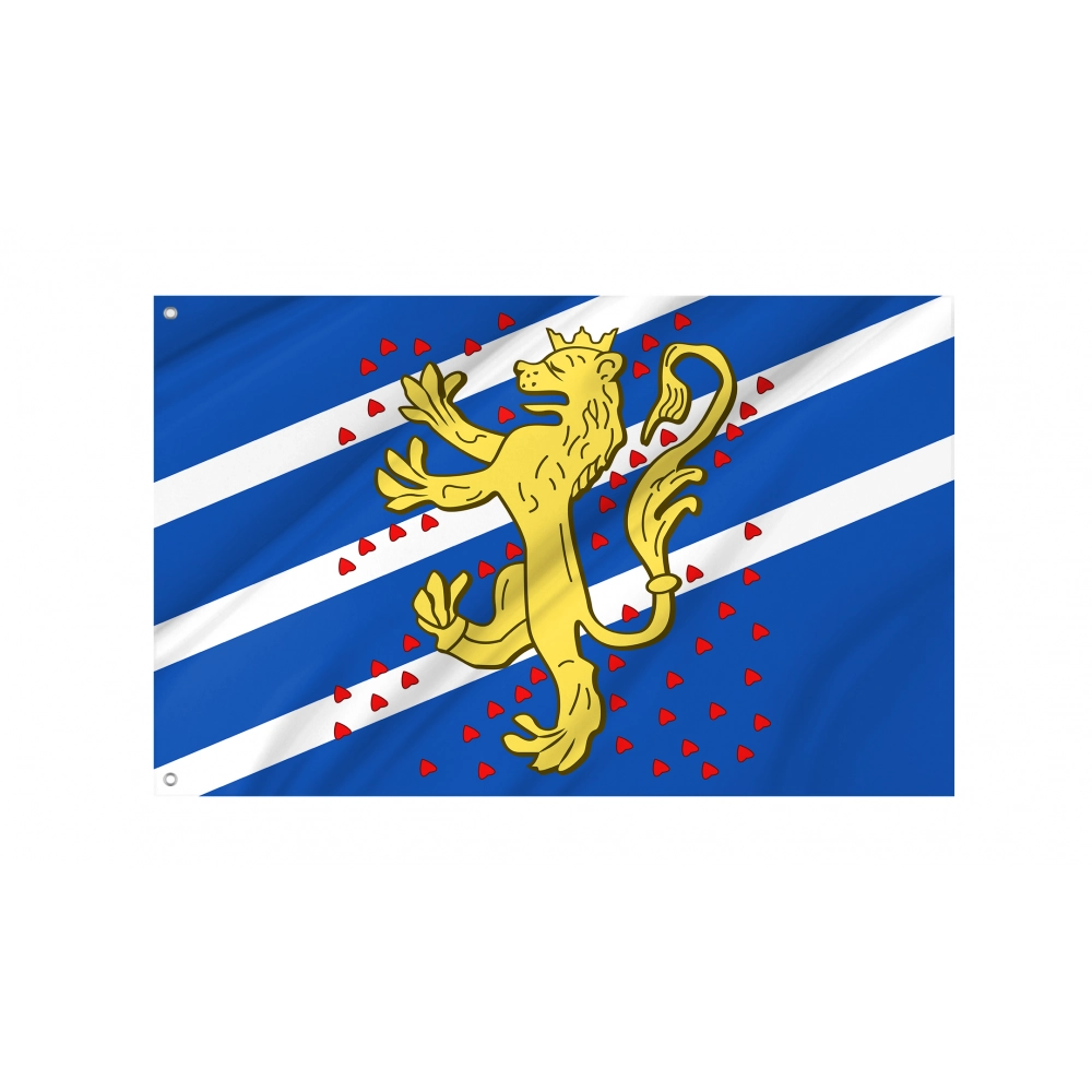 Royal Banner of Sweden 14th Century Flag for Indoor & Outdoor Use