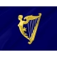 Royal Standard of Ireland (1542-1801) Flag for Indoor & Outdoor Use - Imagine 2
