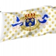 Royal Standard of the King of France Flag for Indoor & Outdoor Use - Imagine 1