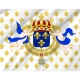 Royal Standard of the King of France Flag for Indoor & Outdoor Use - Imagine 2