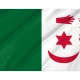 Algeria 1960s Nationalist Flag for Indoor & Outdoor Use - Imagine 2