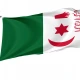 Algeria 1960s Nationalist Flag for Indoor & Outdoor Use - Imagine 1