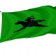 Avar Khaganate Flag for Indoor & Outdoor Use - Imagine 1