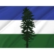 Cascadia Flag for Indoor & Outdoor Use - Imagine 2