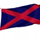 Fine Gael Historical Flag for Indoor & Outdoor Use - Imagine 1