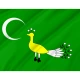 Ghaznavid Empire (977-1186) Flag for Indoor & Outdoor Use - Imagine 2