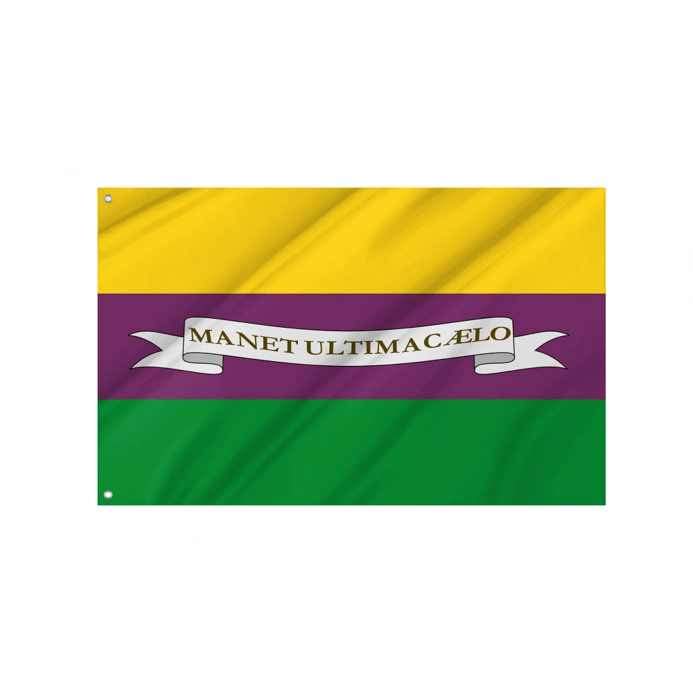 Henri III Historical Flag for Indoor & Outdoor Use