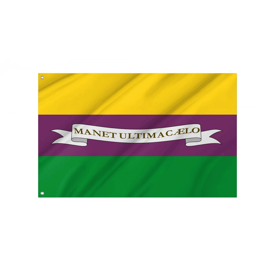 Henri III Historical Flag for Indoor & Outdoor Use, HISTORICAL217