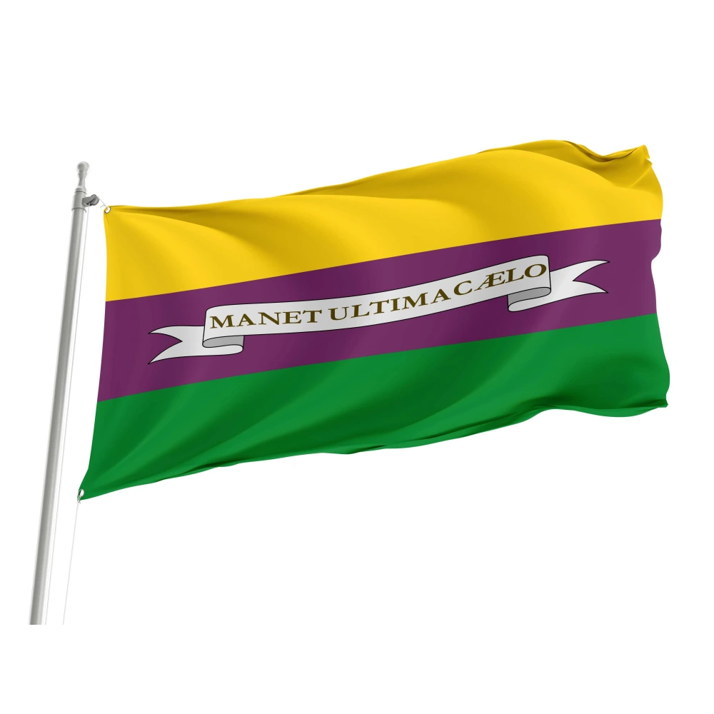 Henri III Historical Flag for Indoor & Outdoor Use