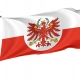 South-Tirol Flag for Indoor & Outdoor Use - Imagine 1