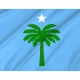 Tripolitanian Republic 1919-1923 Flag for Indoor & Outdoor Use - Imagine 2