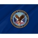 United States Department of Veterans Affairs Flag for Indoor & Outdoor Use - Imagine 2