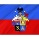 Borsod-Abaúj-Zemplén County Flag for Indoor & Outdoor Use - Imagine 2