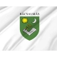Bácsalmás Flag for Indoor & Outdoor Use - Imagine 2
