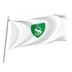 Sásd Flag for Indoor & Outdoor Use