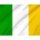 d'Offaly Flag for Indoor & Outdoor Use - Imagine 2