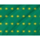 Fenian Brotherhood Star Flag for Indoor & Outdoor Use - Imagine 2