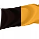 Kilkenny County Colours Flag for Indoor & Outdoor Use - Imagine 1