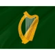 Leinster Flag for Indoor & Outdoor Use - Imagine 2