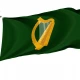 Leinster Flag for Indoor & Outdoor Use - Imagine 1
