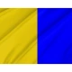 Longford County Colours Flag for Indoor & Outdoor Use - Imagine 2
