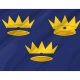 Munster Flag for Indoor & Outdoor Use - Imagine 2