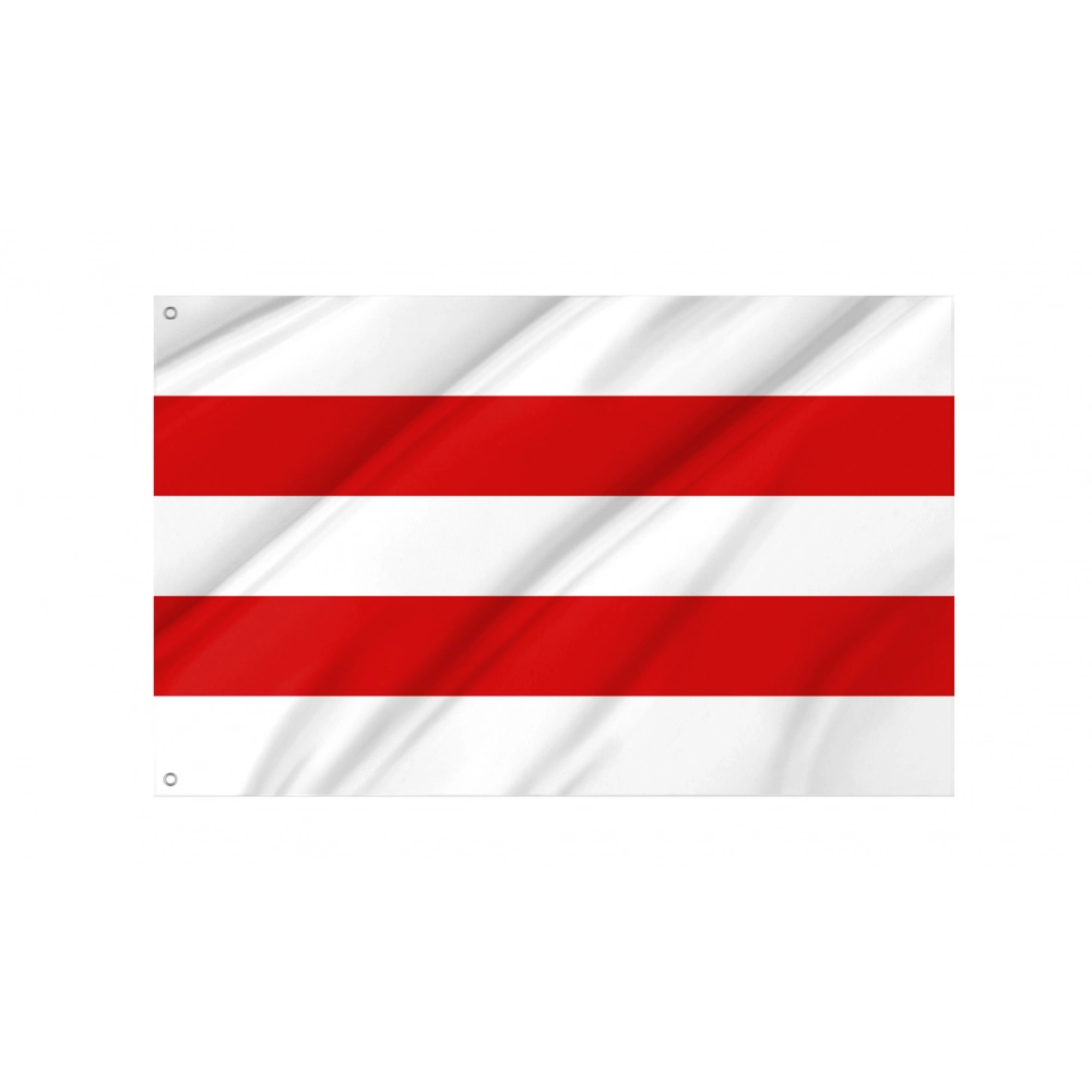 Carpi Flag for Indoor & Outdoor Use Carpi Flag for Indoor & Outdoor Use