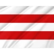 Carpi Flag for Indoor & Outdoor Use - Imagine 2