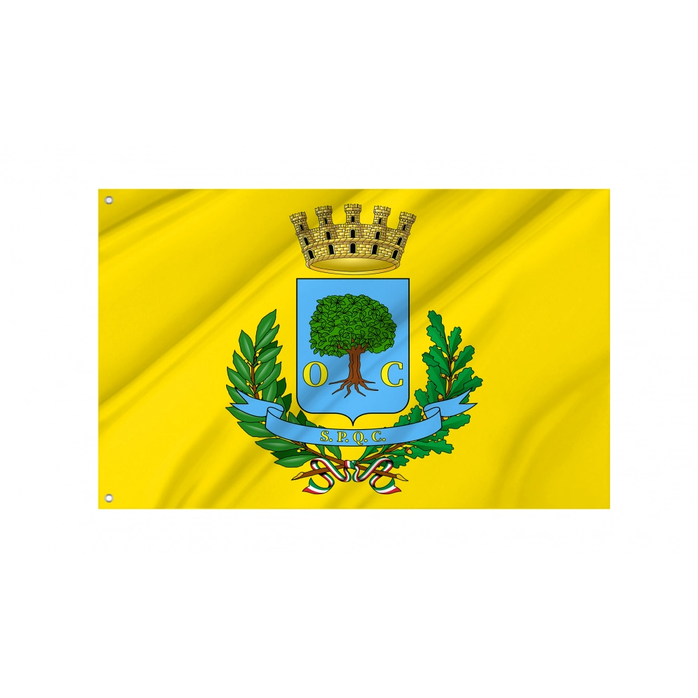 Civitavecchia Flag for Indoor & Outdoor Use Civitavecchia Flag for Indoor & Outdoor Use