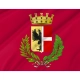 Fidenza Flag for Indoor & Outdoor Use - Imagine 2
