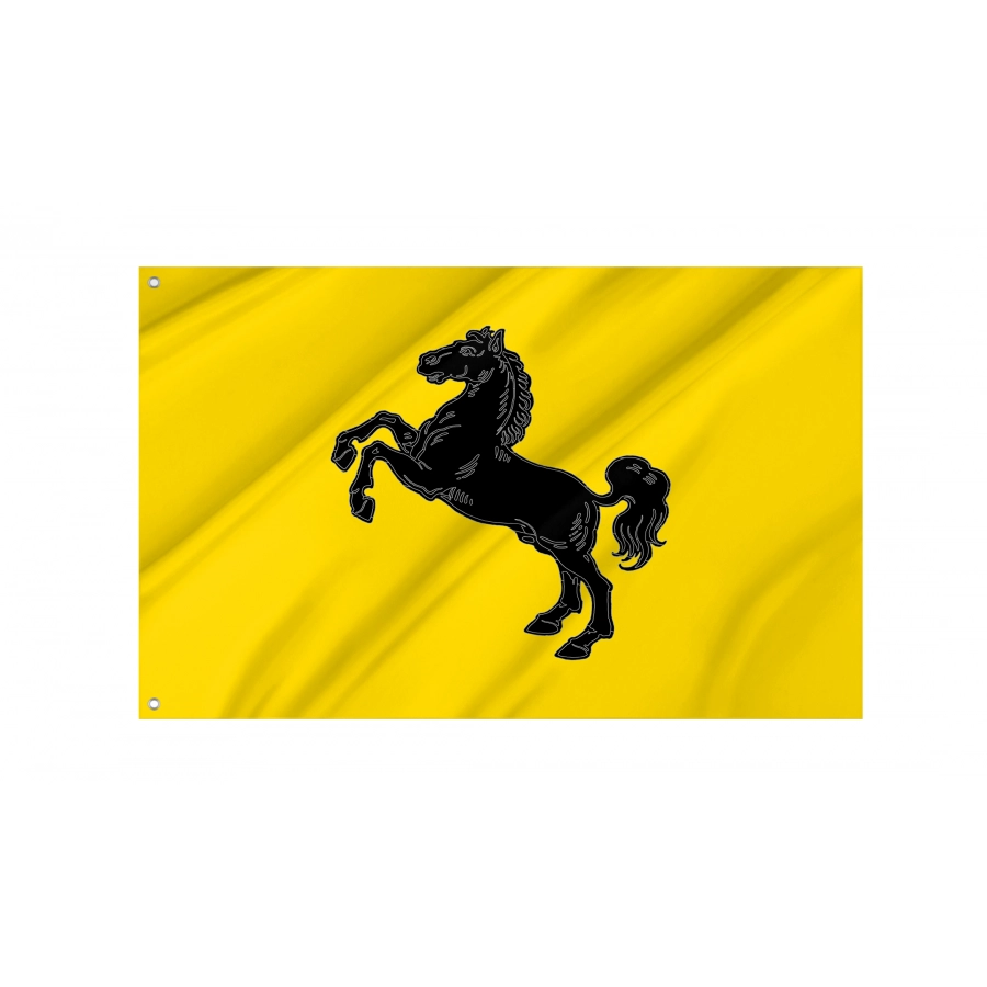 Metropolitan City Of Naples Flag, Unique Design Print - High Quality Campania for Indoor and Outdoor Use