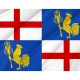 Proposed Flag for Emilia-Romagna for Indoor & Outdoor Use - Imagine 2