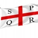 Reggio Emilia Flag for Indoor & Outdoor Use - Imagine 1