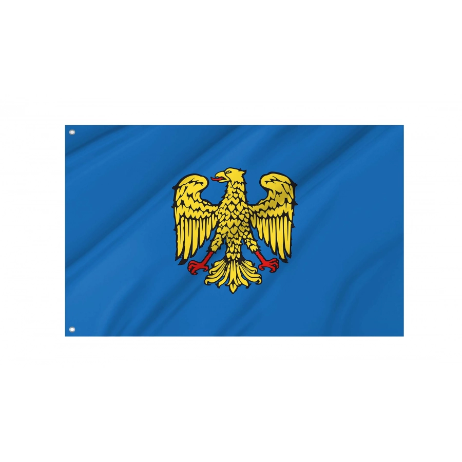 Friuli Flag for Indoor & Outdoor Use, ITA130