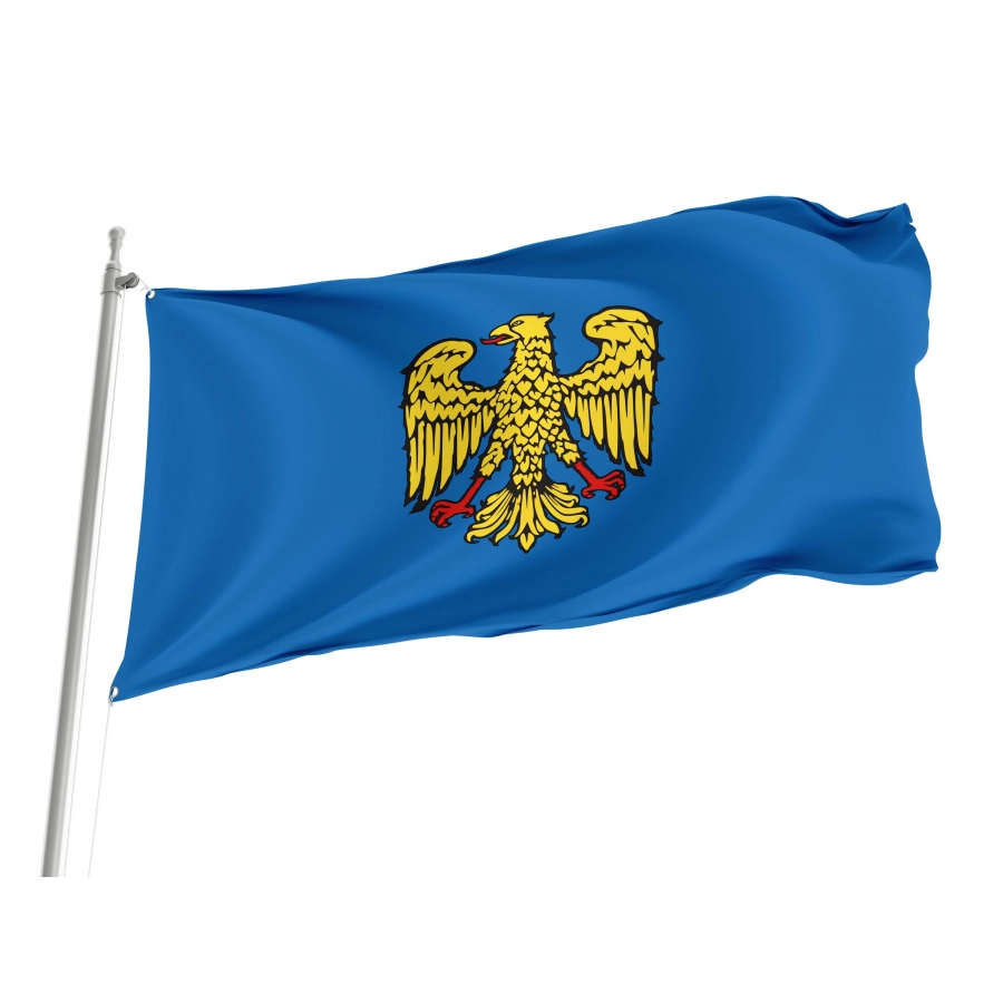 Friuli Flag for Indoor & Outdoor Use, ITA130