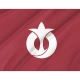 Aichi Prefecture Flag for Indoor & Outdoor Use - Imagine 2