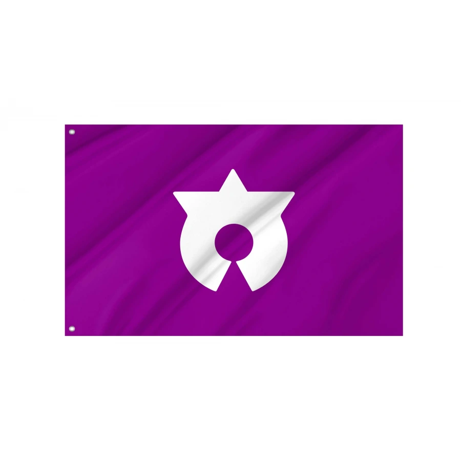Daito, Iwate 1959-2005 Flag for Indoor & Outdoor Use, JPN439