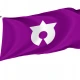 Daito, Iwate 1959-2005 Flag for Indoor & Outdoor Use - Imagine 1