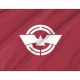 Ebina Kanagawa Flag - Imagine 2