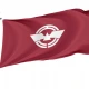 Ebina Kanagawa Flag - Imagine 1