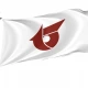 Hiraizumi, Iwate Flag for Indoor & Outdoor Use - Imagine 1