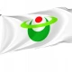 Hirakawa Aomori Flag for Indoor & Outdoor Use - Imagine 1