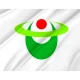 Hirakawa Aomori Flag for Indoor & Outdoor Use - Imagine 2